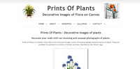 Prints Of Plants