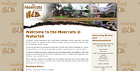 Meercats